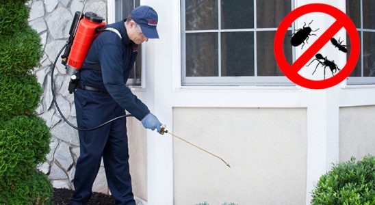 Soğukkuyu Kene İlaçlama böcek ilaçlama ve haşere kontrolü — ilaclama-tr.com